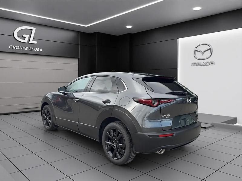 Neu Mazda CX-30 Homura-Line 186 PS (136 kW) 2026 Gray SUV