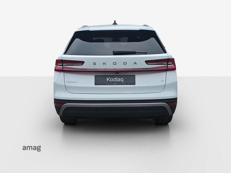 Neu Skoda Kodiaq Dynamic 204 PS (150 kW) 2026 Moon weiss, metallic SUV