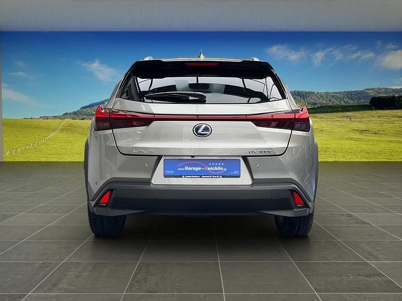 Gebraucht Lexus UX 300e 150 kW (204 PS) 2021 Silber SUV