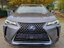 Lexus UX 250h