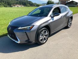 Lexus UX 300e