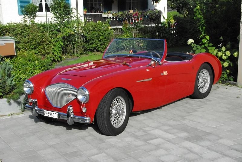 Gebraucht Austin Healey 100 1955 Cabrio