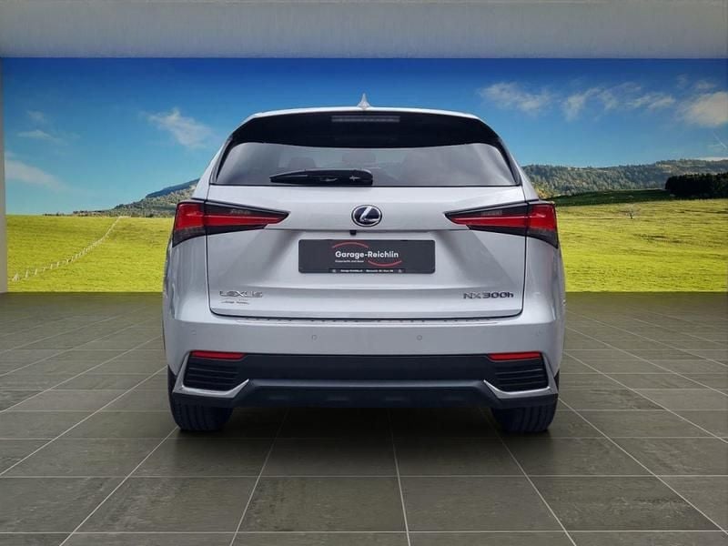 Gebraucht Lexus NX300h 197 PS (144 kW) 2019 Silber SUV