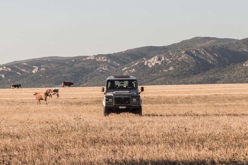 Gebraucht Land Rover Defender 122 PS (89 kW) 2012 SUV