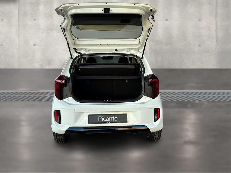 Neu Kia Picanto 79 PS (58 kW) 2025 Weiss Kleinwagen