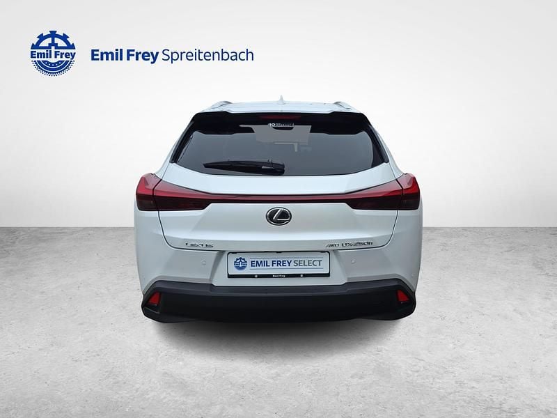 Gebraucht Lexus UX 250h 184 PS (135 kW) 2024 Weiss SUV