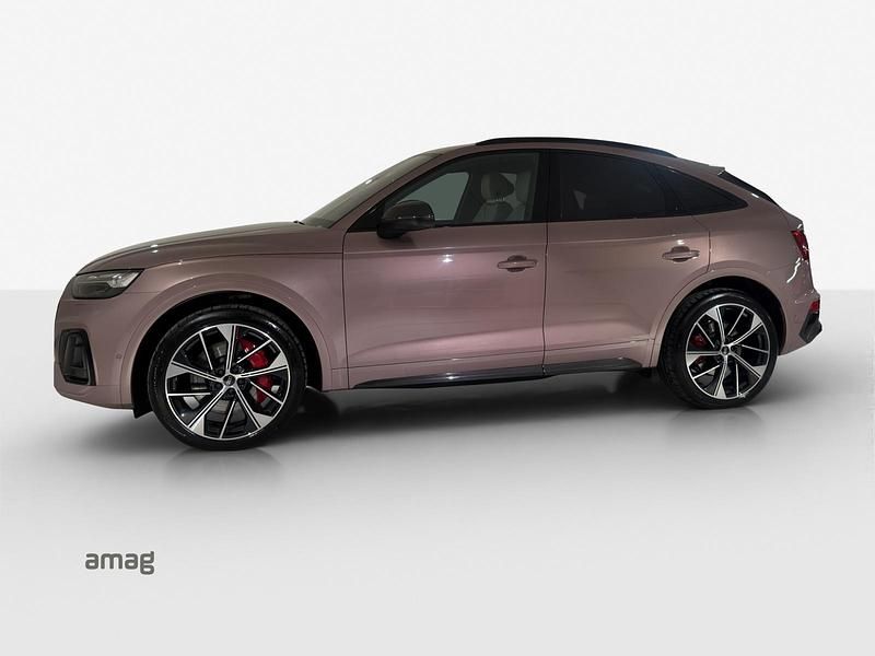 Gebraucht Audi SQ5 342 PS (251 kW) 2024 SUV