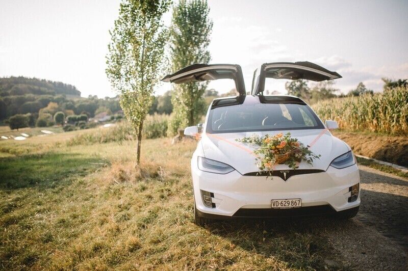 Gebraucht 2020 Tesla Model X Long Range RWD SUV | CHF 54’900 - Bild 1/4