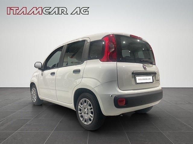 Gebraucht Fiat Panda City Life 70 PS (51 kW) 2025 Kleinwagen