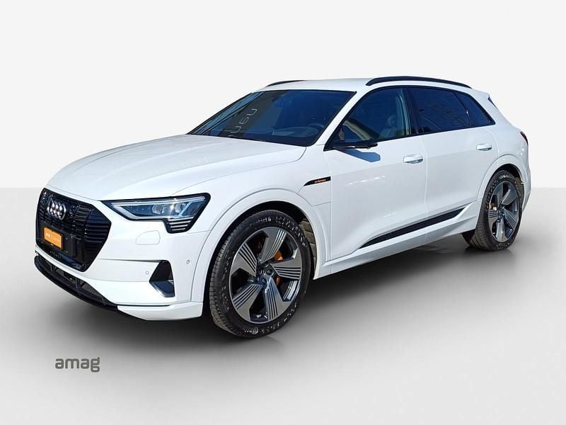 Gebraucht Audi e-tron Advanced 300 kW (408 PS) 2019 Gletscherweiss metallic SUV