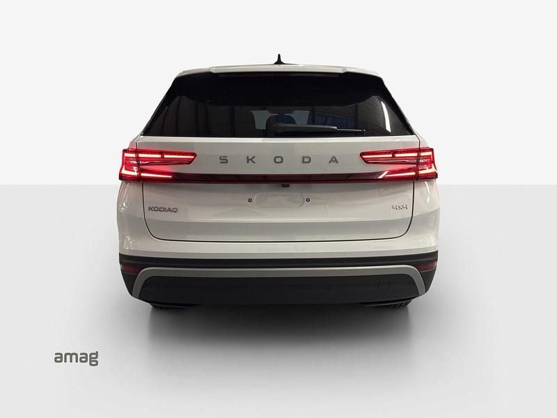 Neu Skoda Kodiaq Selection 193 PS (141 kW) 2026 Moon weiss, metallic SUV