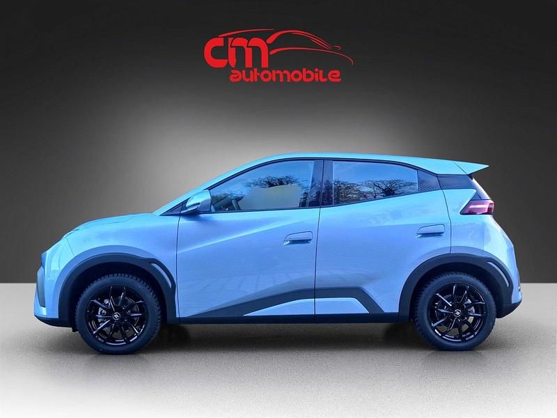 Neu BYD Dolphin Surf Active 64 kW (88 PS) 2025 Blau Kleinwagen