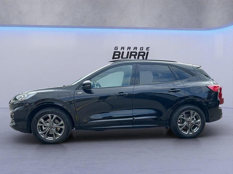 Gebraucht Ford Kuga ST-Line 224 PS (164 kW) 2024 SUV