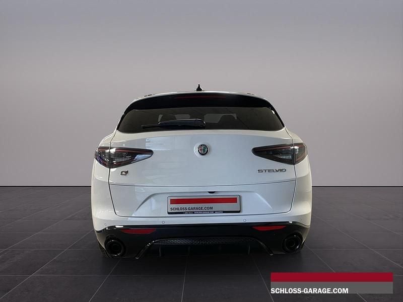 Neu Alfa Romeo Stelvio Premium 280 PS (205 kW) 2025 Weiss SUV