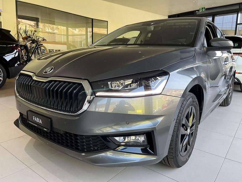 Gebraucht Skoda Fabia Selection 95 PS (69 kW) 2024 Grau Kleinwagen