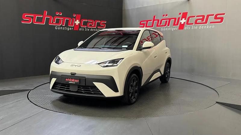 Neu BYD Dolphin Surf Comfort 114 kW (156 PS) 2026 Weiss Kleinwagen