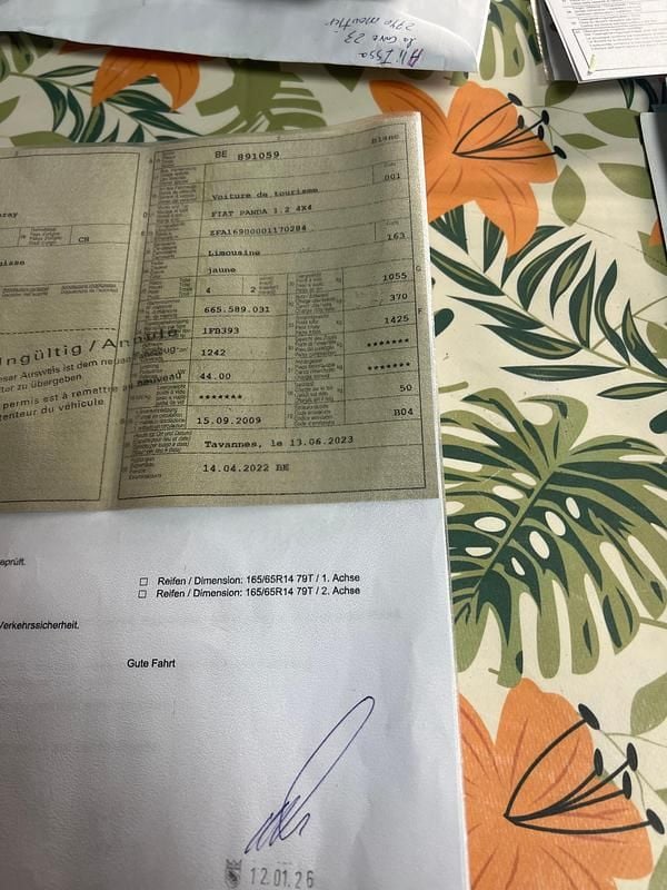 Gebraucht 2009 Fiat Panda 4x4 Climbing Kleinwagen | CHF 2’980 (Fairer Preis) - Bild 1/1