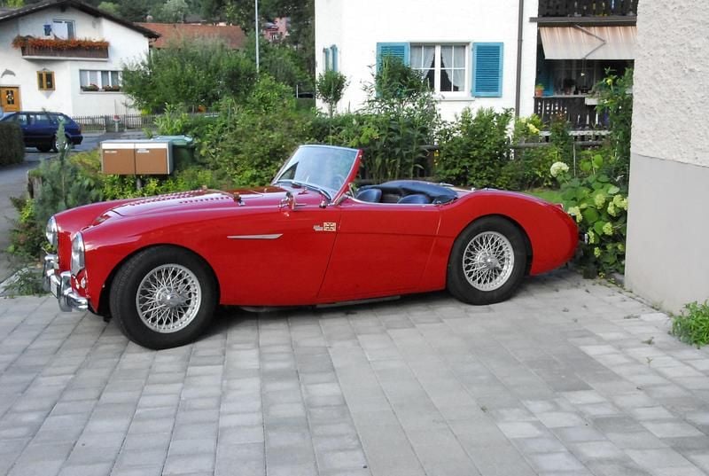 Gebraucht Austin Healey 100 1955 Cabrio