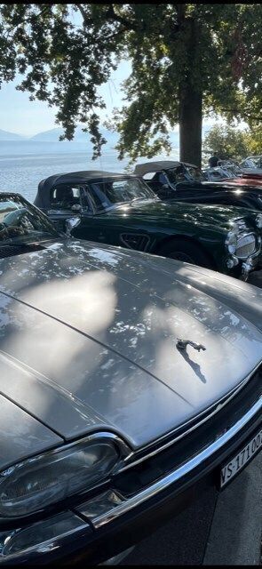 Gebraucht Jaguar XJS S 275 PS (202 kW) 1990 Cabrio