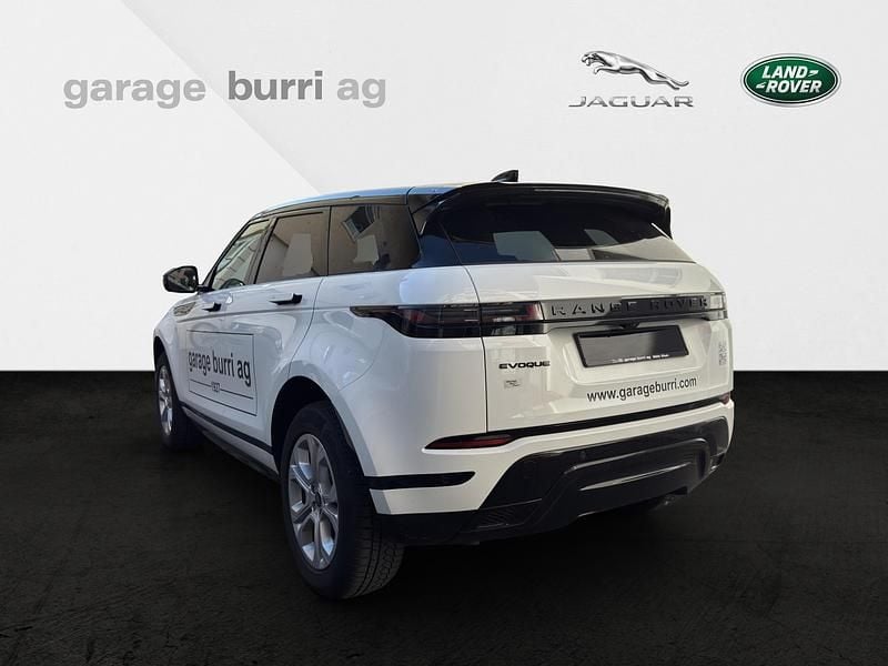 Gebraucht Land Rover Range Rover evoque SE Dynamic 204 PS (150 kW) 2024 SUV