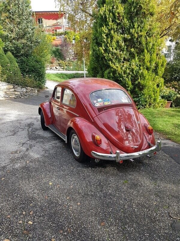 Gebraucht 1961 VW Käfer | CHF 19’500 - Bild 1/4