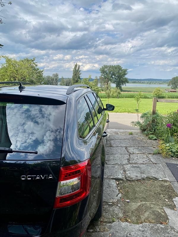 Gebraucht Skoda Octavia Style 150 PS (110 kW) 2019 Kombi