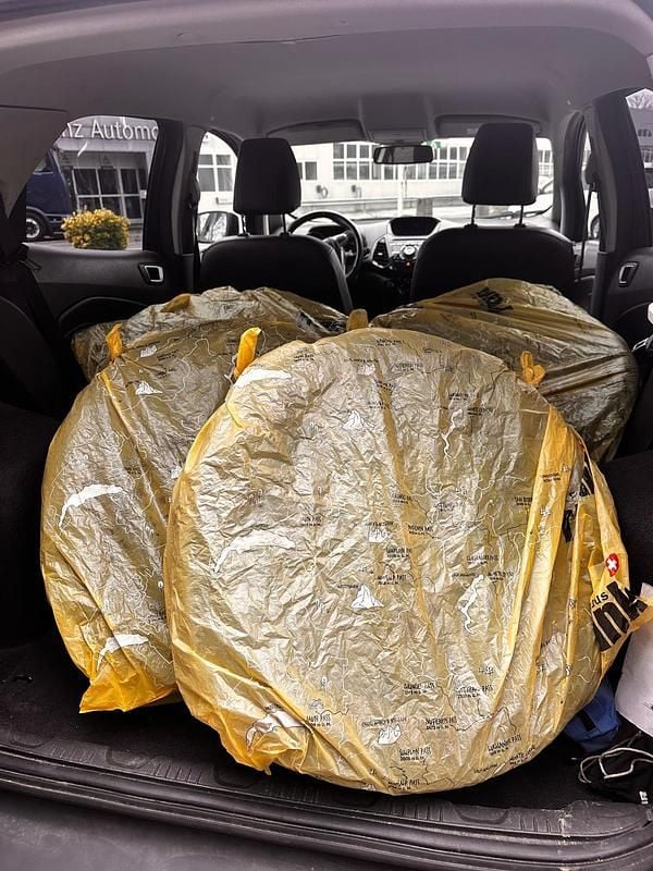 Gebraucht Ford Ecosport Titanium 140 PS (102 kW) 2017 SUV