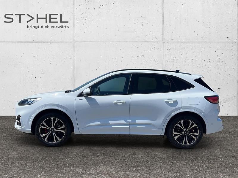 Gebraucht Ford Kuga ST-Line X 2023 Weiss SUV