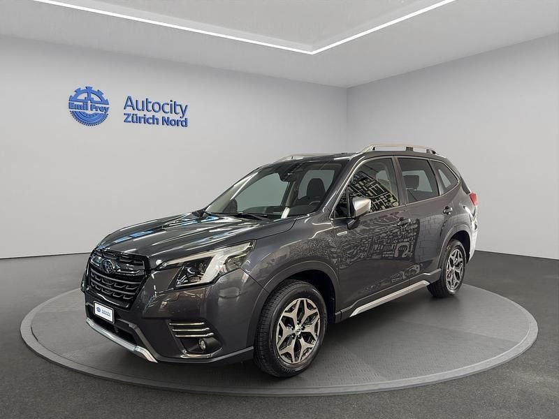 Grau Gebraucht 2024 Subaru Forester SUV | CHF 33’999 (Fairer Preis) - Bild 1/4