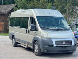 Grün Gebraucht 2013 Fiat Ducato Comfort Van | CHF 17’990