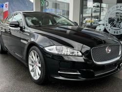 Schwarz Gebraucht 2014 Jaguar XJ Premium Luxury Limousine | CHF 39’900