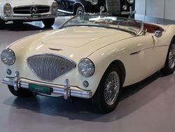 Gebraucht 1954 Austin Healey 100 Cabrio | CHF 84’500