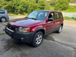 Gebraucht 2003 Ford Maverick SUV | CHF 2’350 (Guter Preis)