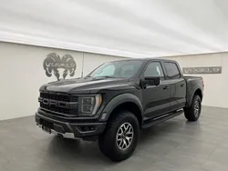 Neu 2025 Ford F-150 Raptor Abholung | CHF 128’900