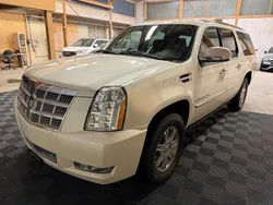 Gebraucht 2014 Cadillac Escalade SUV | CHF 36’999 (Fairer Preis)