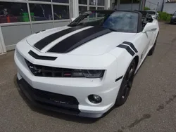 Gebraucht 2014 Chevrolet Camaro Cabrio | CHF 24’990 (Fairer Preis)