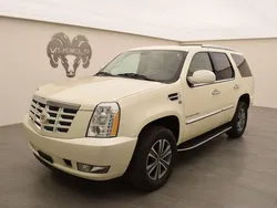 Weiss Gebraucht 2011 Cadillac Escalade SUV | CHF 31’900 (Teuer)