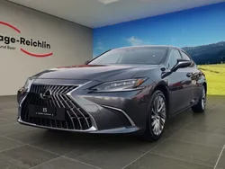 Gebraucht 2024 Lexus ES300H Limousine | CHF 57’800 (Etwas zu teuer)