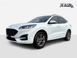 Weiss Gebraucht 2023 Ford Kuga ST-Line SUV | CHF 31’900 (Guter Preis)