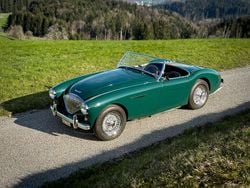 Gebraucht 1954 Austin Healey 100 Cabrio | CHF 77’900
