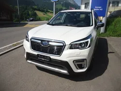 Gebraucht 2019 Subaru Forester SUV | CHF 22’900 (Guter Preis)