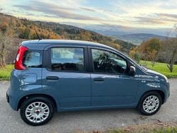 Gebraucht 2021 Fiat Panda Kleinwagen | CHF 8’910 (Guter Preis)