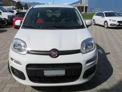 Gebraucht 2017 Fiat Panda Lounge Kleinwagen | CHF 12’500 (Etwas zu teuer)