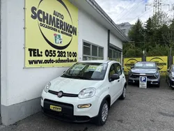Neu 2024 Fiat Panda Kleinwagen | CHF 12’350 (Superpreis)