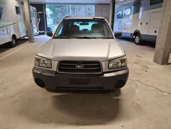 Gebraucht 2004 Subaru Forester SUV | CHF 3’900 (Fairer Preis)