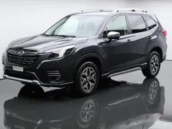 Grau Gebraucht 2024 Subaru Forester SUV | CHF 36’900 (Superpreis)