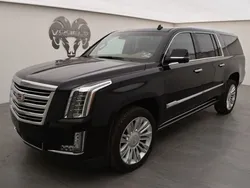Neu 2024 Cadillac Escalade SUV | CHF 79’900 (Fairer Preis)