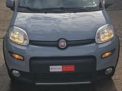 Gebraucht 2018 Fiat Panda 4x4 Kleinwagen | CHF 12’800 (Teuer)