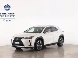 Weiss Gebraucht 2021 Lexus UX 300e SUV | CHF 33’900 (Etwas zu teuer)