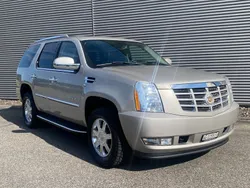 Gebraucht 2012 Cadillac Escalade SUV | CHF 33’900 (Fairer Preis)